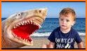 Kids~Song Baby~Shark Video related image