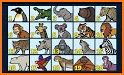 Animal Counting related image