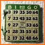 Simple Bingo Card related image