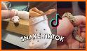 Trending Viral, Funny & Status Video for Snake related image