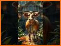 Rich Cow related image