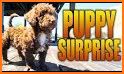 My Virtual PooPee Pet Game - Adopt a Puppy Animal related image