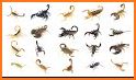 Guess Scorpion Animal Pic related image