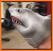 The Shark Gym related image