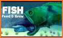 Feed and Grow : Fish Guide related image