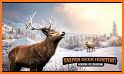 Deer Hunt Sniper Shooter: FPS Shooting Game related image