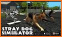Domestic Dog Simulator: stray dog games related image