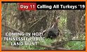 Turkey Calls 2019 related image