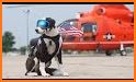 CollieRun - Free Dog game agility training border related image