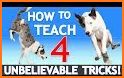 My Dog Training App - 30 Days Puppy Trainer related image