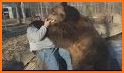 Hugging Bear related image
