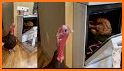 Add Face to Video: Become a Thanksgiving Turkey related image