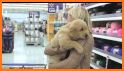Puppy Shopping Pal related image