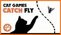 Catch The Fly related image