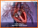 Cardiac Output & Volume Calculator: Cardiology related image