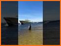 Little Big Wave related image