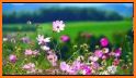 Flowers Transparent Keyboard Background related image