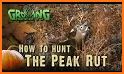 Best Hunting Times related image