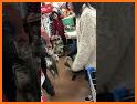 Madness In The Supermarket related image