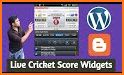 Crichunt - Live Cricket Score related image