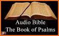 Audio Bible NIV Free related image