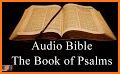 The Message Audio Bible Pro related image