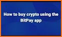 Bit Pay related image
