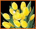 Yellow Tulip Theme related image