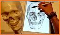 Skull Anatomy Pro. related image
