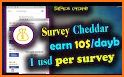 Cheddar Paid Cash Surveys related image