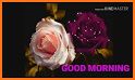 Flowers Roses Images Gif - Good Morning Messages related image