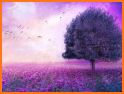 Lavender romantic realistic purple nature theme related image