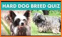Dog Breeds: Quiz related image