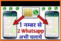 Whatsapp 2 related image