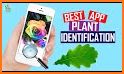 Plant Identification - Plant Identifier App related image