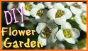 Learn Gardening flowers and plants related image