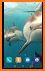 Dolphins Live Wallpaper related image