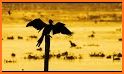 Grid Photo Tips - PhGrid related image