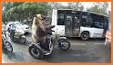 Bear On A Scooter related image