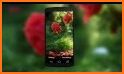 Falling Flowers Red - Live Wallpaper related image