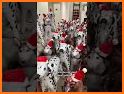 Xmas Dog WF by HuskyDEV related image