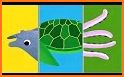 Matching Game - Sea life 🐬🐳 related image