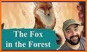 The Fox in the Forest related image