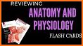 Gray's Anatomy Flash Cards related image