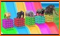 Cube Slide : Animals related image