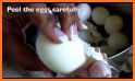 Deviled Egg Recipes related image