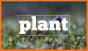Spelling Plants related image