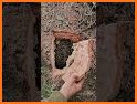 Apis Treasures related image