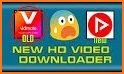 HD Video Downloader Newpipe related image