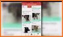 Patte - Find Lost Pets by Face Recognition related image